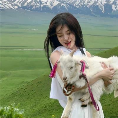 僵尸回收守则 在线观看