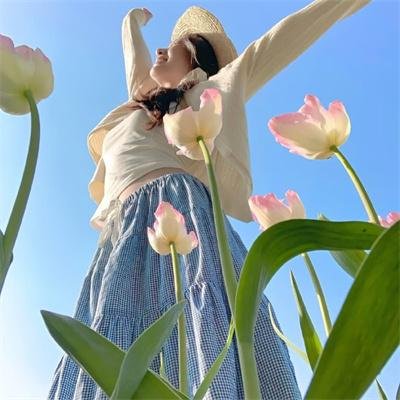 探案拍档第四季 在线观看
